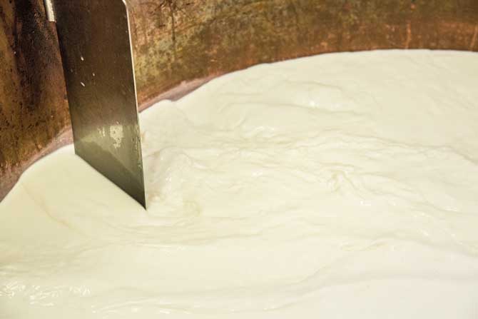 Chäsgschichten Käse kaufen Chäsgschichten Käse kaufen